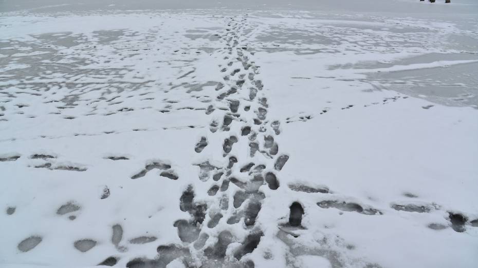 На Воронежском водохранилище 2 лыжника провалились под лед