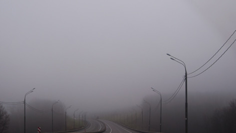 Ночью Воронежскую область окутает сильный туман