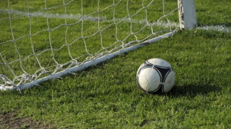 Делегация FIFA включила воронежские футбольные поля в топ-3 обследованных перед ЧМ