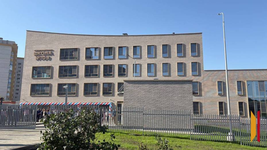 Управление образования организовало проверку после избиения мальчика в школе №109 в Воронеже