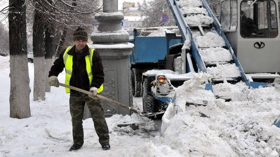 Парковку на проспекте Революции в Воронеже запретят на 14 часов для вывоза снега