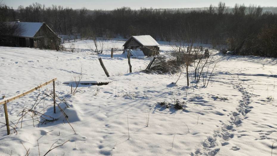 В воронежском селе насмерть замерз 54-летний мужчина