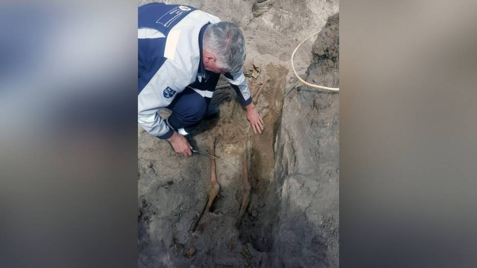 Останки красноармейца нашли возле пруда-охладителя АЭС в Нововоронеже
