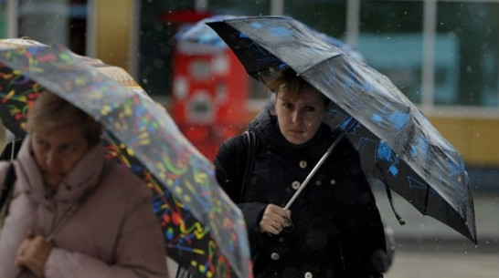 Снег и дождь пройдут в Воронеже в воскресенье