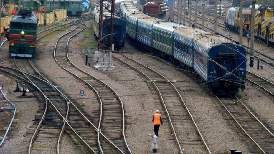 Пять пассажирских поездов задержались из-за пожара в Воронежской области