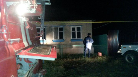В Воронежской области на пожаре погиб брат хозяина дома