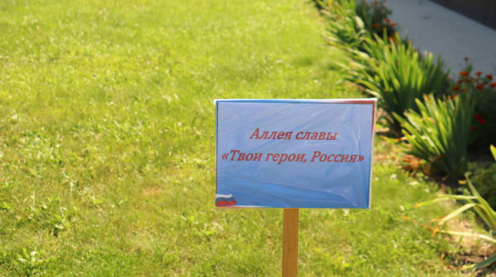 Аллея «Твои герои, Россия» в честь участников СВО появится в Грибановском районе