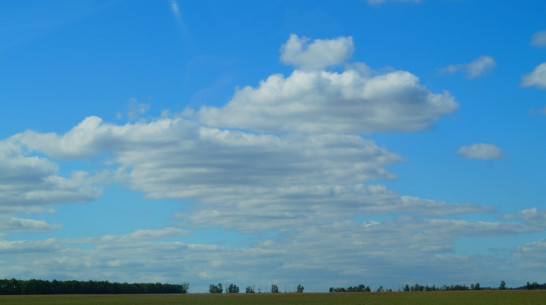 На выходных в Воронеже будет сухо и относительно тепло