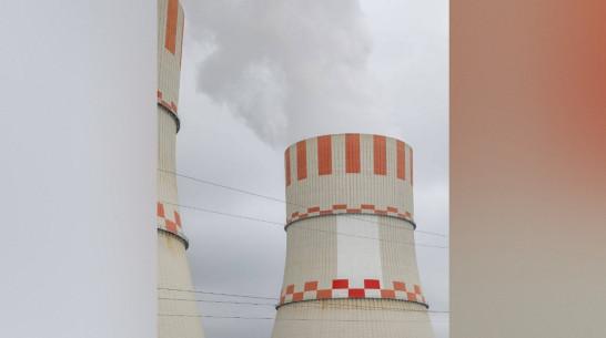 Қырылған киска және түкті жыныс мүшесі