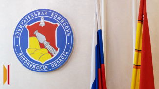 В Воронежской области началось голосование на выборах в областную и городскую думы и советы депутатов муниципального уровня