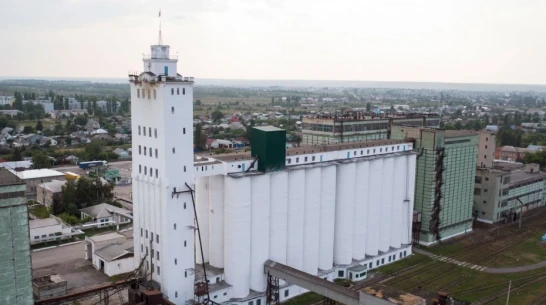 Бутурлиновский мелькомбинат оспорит иск со стороны ставропольской компании