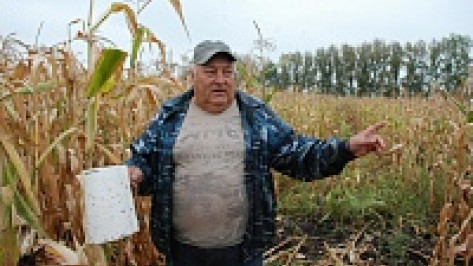 Кантемировцы открыли охоту на жуков-вредителей вблизи границы с Украиной