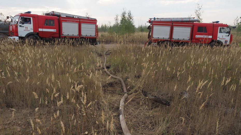 Дожди в Воронежской области не снизили пожарную опасность на юге региона