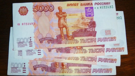 Аналитики назвали самые высокооплачиваемые вакансии Воронежа