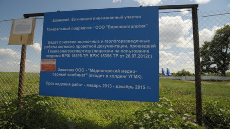 Депутаты Воронежской облдумы пока не определились, просить ли правительство «заморозить» разработку никелевых месторождений