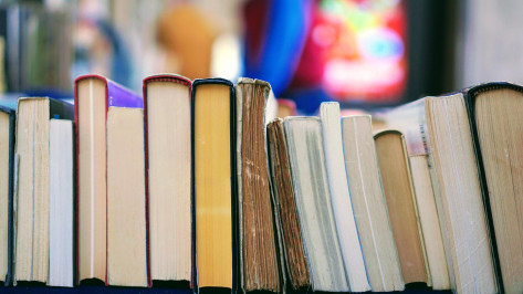 Воронежцы собрали более 700 книг для школ и детских садов ЛНР в рамках акции «ПоМожем!»