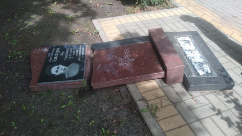 В Воронежской области мужчина разбил памятники героям Великой Отечественной войны
