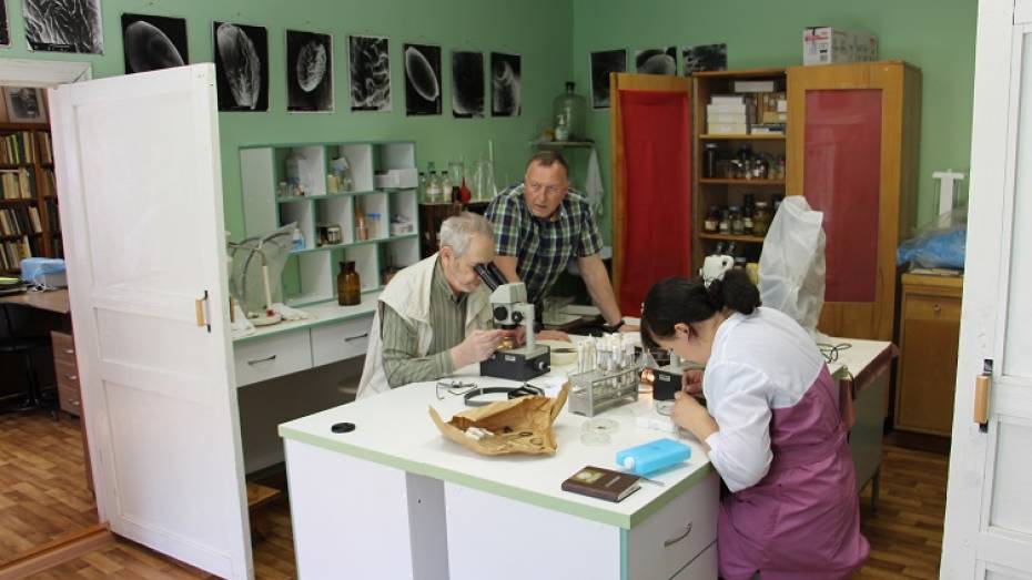 Эксперты изучат воронежских клещей в московской лаборатории