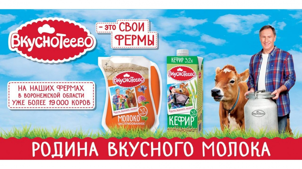 Молвест продукция фото