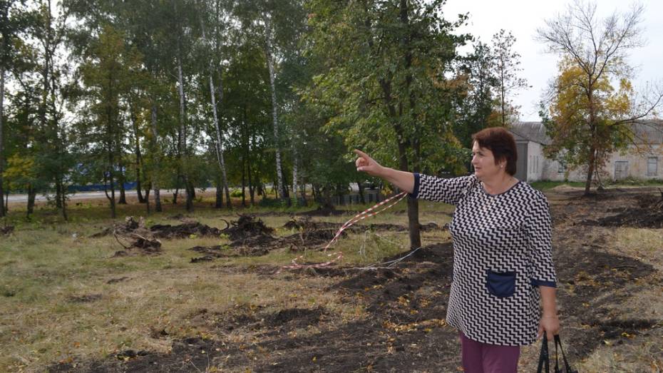 В ольховатском селе Копаная на благоустройство парка потратят 3,5 млн рублей