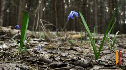 В Воронежской области 4 апреля потеплеет до +21 градуса