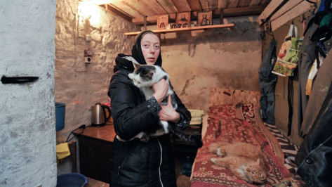 Воронежская монахиня нашла дом для семи тысяч бездомных котов