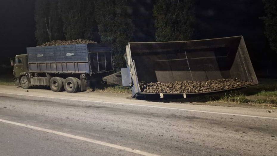 В Воронежской области легковушка врезалась в дорожный знак из-за сахарной свеклы на дороге