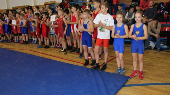 Эртильские борцы выиграли 2 золотые медали на всероссийском турнире