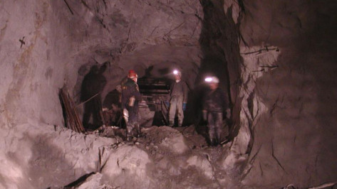  До 2015 года в Новохоперском районе не будут добывать никель - только исследовать месторождение
