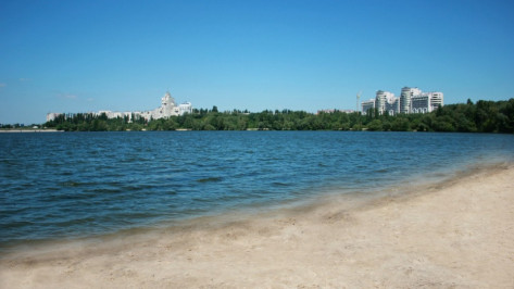 Выходные в Воронеже будут сухими и солнечными