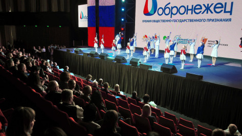 Прием заявок на премию «Добронежец-2020» завершится в Воронеже 10 февраля