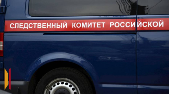 Глава СК запросил доклад по делу об отключении света в воронежских СНТ «Дальние сады» и «Ближние сады»