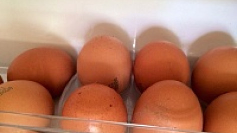 Воронежских детей накормили сомнительными яйцами