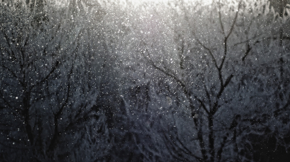 Воронежцев предупредили о сильном мокром снеге и метели