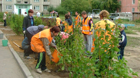 В Воронеже утвердили план озеленения
