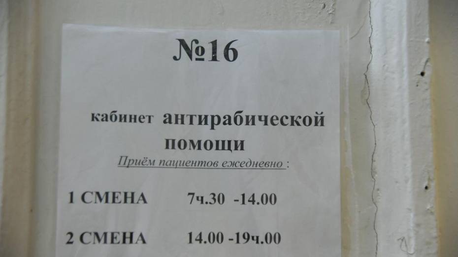 В Воронежской области зафиксировали 87 случаев бешенства у животных с начала года