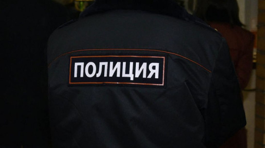 В Нововоронеже 24-летняя женщина вырвала волосы инспектору ПДН и получила условный срок