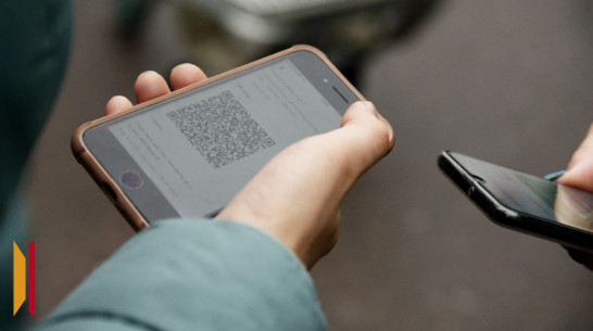Воронежцы смогут оплачивать покупки по QR-коду в Таиланде