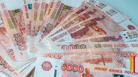 Доходы бюджета Воронежа в 2025 году составили более 55 млрд рублей