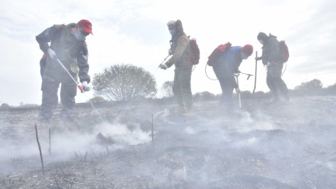 Заливать дымящуюся траву под Воронежем помогают добровольцы