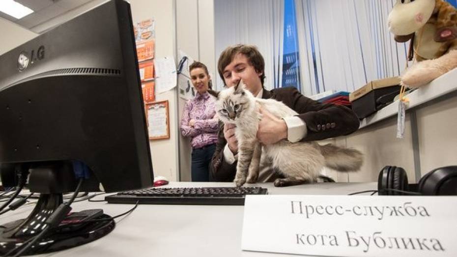 В Свердловской области появился кот-политик
