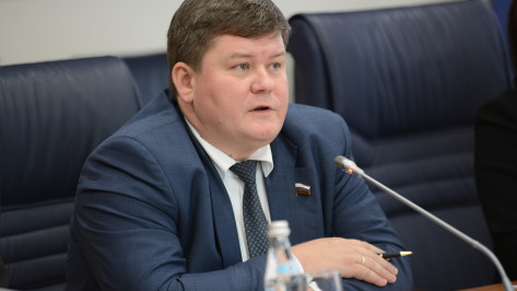Вице-спикера Воронежской городской думы заподозрили в мошенничестве на выборах