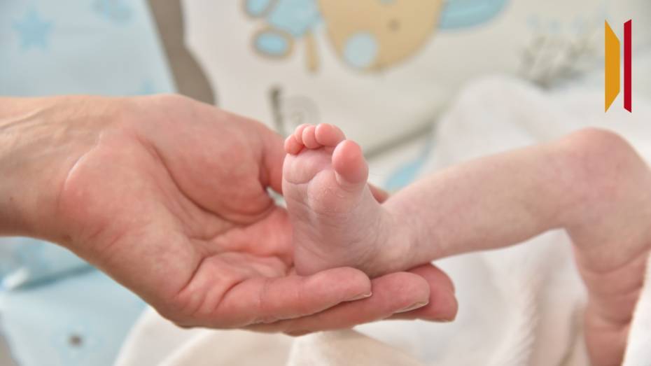 Анна-Роза, Любава и Мая: как воронежцы называли детей в 2026 году