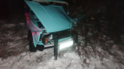 В Воронежской области 81-летний водитель ВАЗа попал в больницу после ДТП с КамАЗом