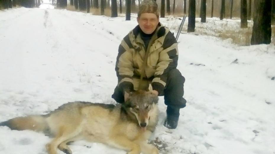 В Верхнемамонском районе охотники и егери поймали 2 волков