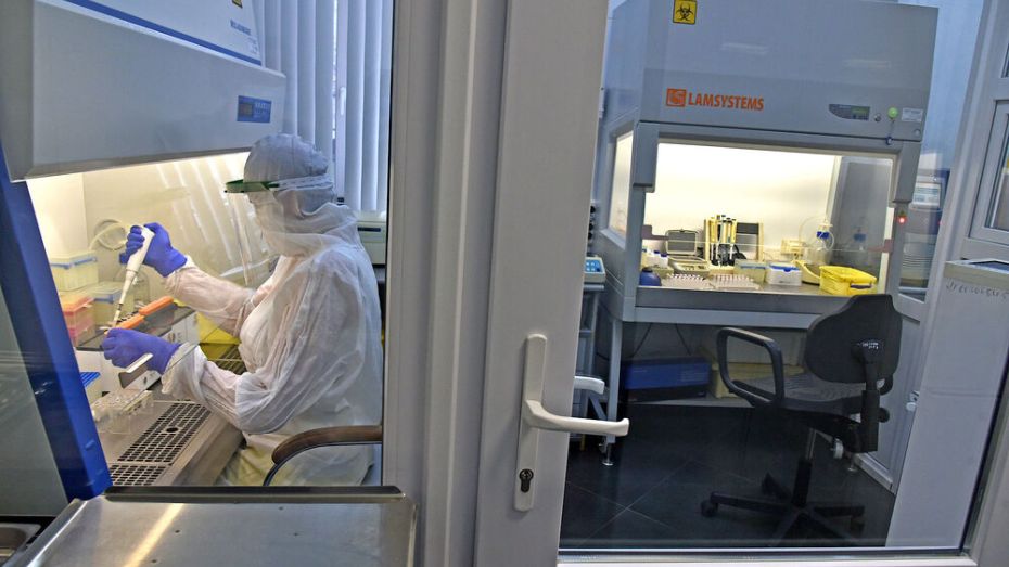 Воронежская область стала 7-й в России по числу заразившихся коронавирусом за сутки