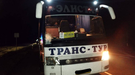 Рейсовый автобус ночью насмерть сбил человека в Воронежской области