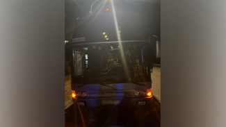 Под Воронежем водитель рейсового автобуса сбил велосипедиста