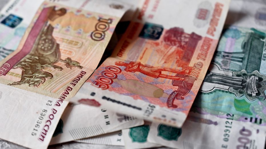Гострудинспекция: в Воронежской области значительно снизилась задолженность по зарплате