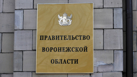 Правительство Воронежской области официально опровергло закрытие мехзавода
